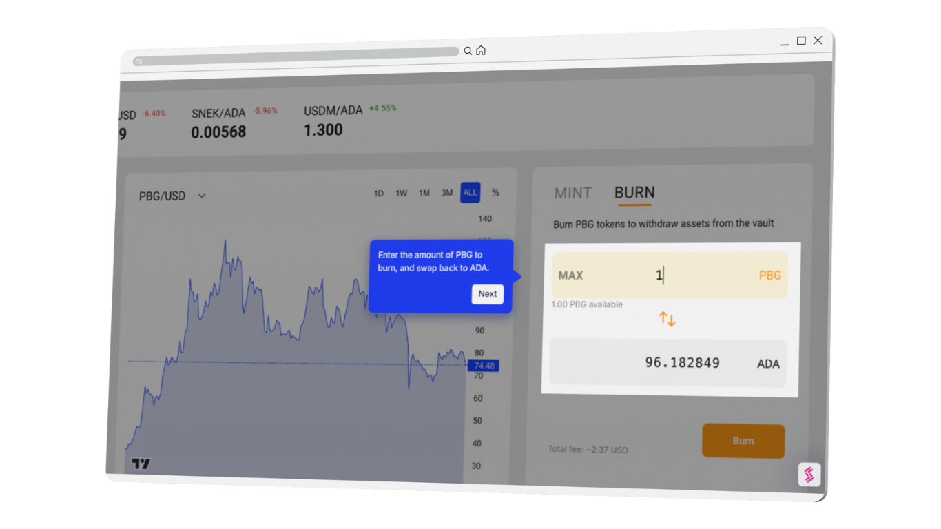 Burn PBG Tokens 03