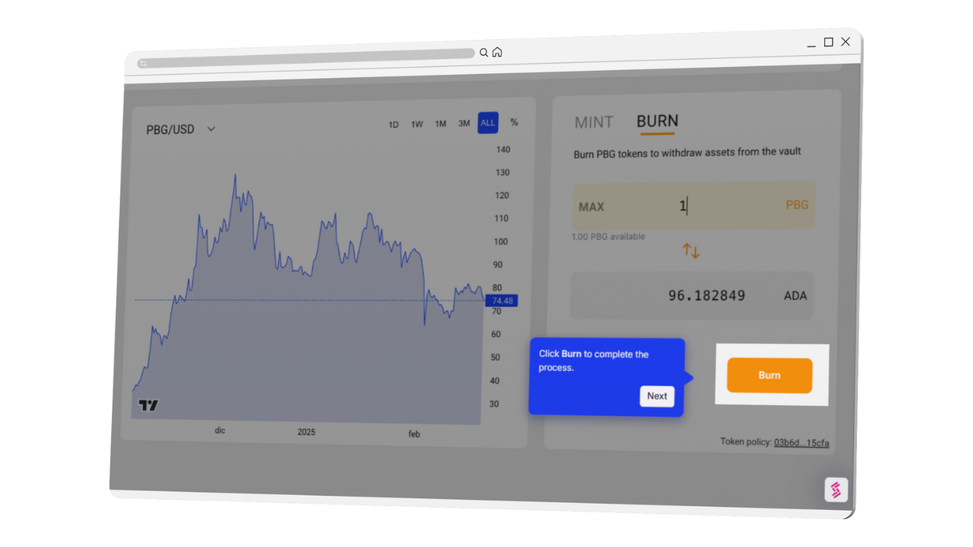 Burn PBG Tokens 04