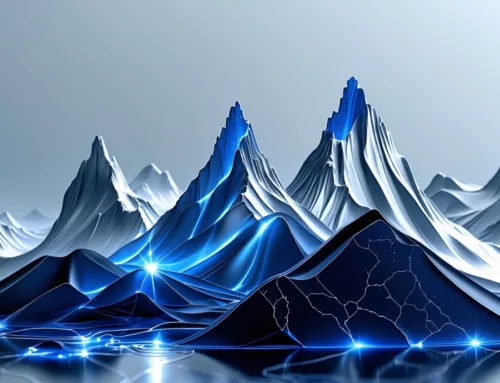 Reveal the Process: How DVP Protocol Works on Cardano